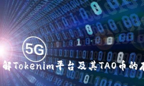  深入了解Tokenim平台及其TAO币的存储方式