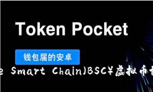 深入探讨Binance Smart Chain（BSC）虚拟币协议及其生态系统
