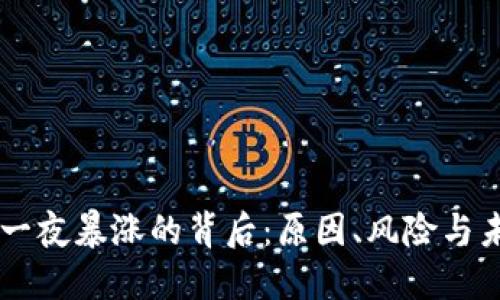 虚拟币一夜暴涨的背后：原因、风险与未来展望