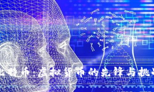 比特币：虚拟货币的先锋与挑战