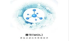  NMC虚拟币：数字货币的未来与投资前景