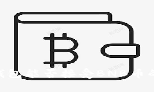 Tokenim钱包能否接受BNB币的全面解析