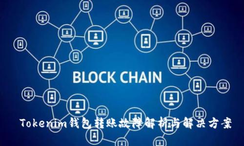  Tokenim钱包转账故障解析与解决方案