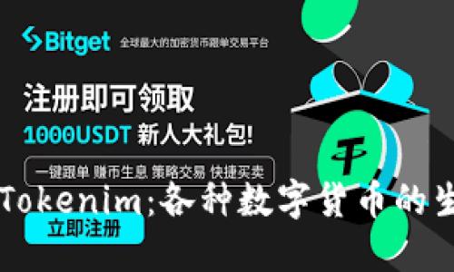 深入了解Tokenim：各种数字货币的生态与应用