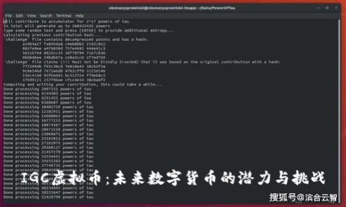 IGC虚拟币：未来数字货币的潜力与挑战
