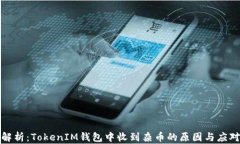 深入解析：TokenIM钱包中收到杂币的原因与应对策