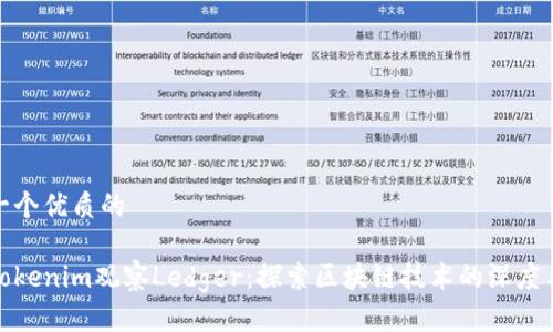 思考一个优质的

使用Tokenim观察Ledger：探索区块链技术的深度与广度