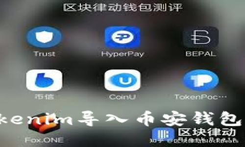 如何将Tokenim导入币安钱包：详细指南