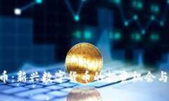 CLV虚拟币：新兴数字货币的投资机会与市场分析