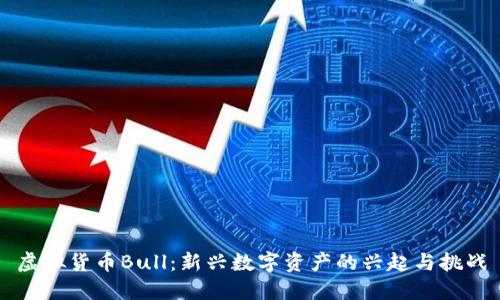 虚拟货币Bull：新兴数字资产的兴起与挑战