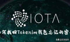 如何找回Tokenim钱包忘记的密码