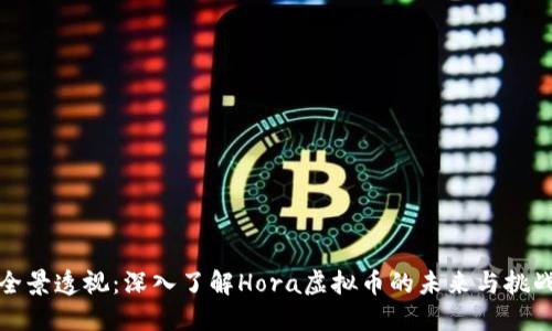 全景透视：深入了解Hora虚拟币的未来与挑战