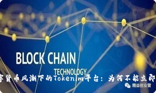 : 数字货币风潮下的Tokenim平台: 为何不能立即兑换？