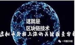 虚拟币价格上涨的关键因素分析