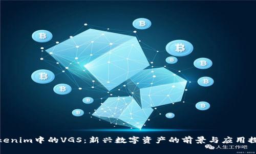 Tokenim中的VGS：新兴数字资产的前景与应用探讨