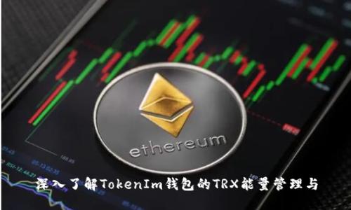 深入了解TokenIm钱包的TRX能量管理与
