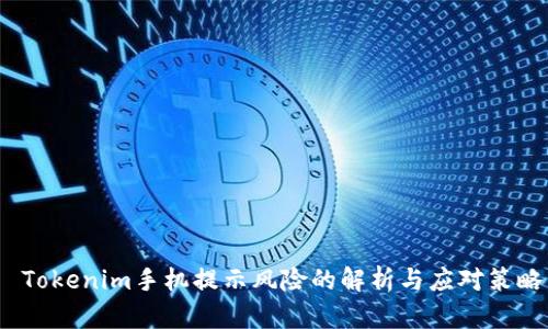  Tokenim手机提示风险的解析与应对策略