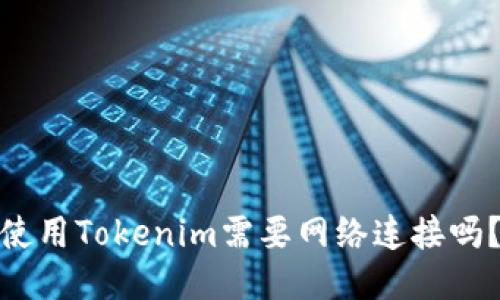 使用Tokenim需要网络连接吗？
