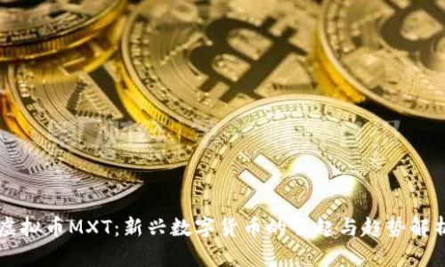 虚拟币MXT：新兴数字货币的崛起与趋势解析