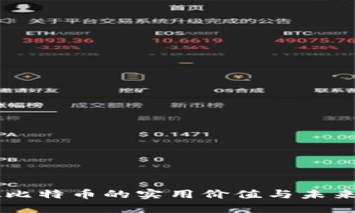 虚拟比特币的实用价值与未来展望