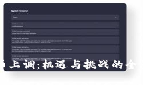 虚拟币上调：机遇与挑战的全景分析