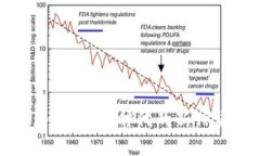 虚拟琥珀币：数字时代的新兴货币革命