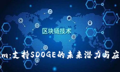 Tokenim：支持SDOGE的未来潜力与应用解析