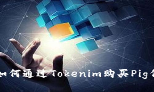 : 如何通过Tokenim购买Pig代币