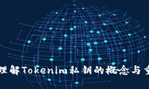 深入理解Tokenim私钥的概念与重要性