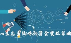 Tokenim生态系统中的资金变现策略与实践