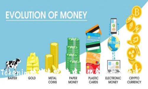 探索Tokenim地址追踪：去中心化金融世界的透明之路