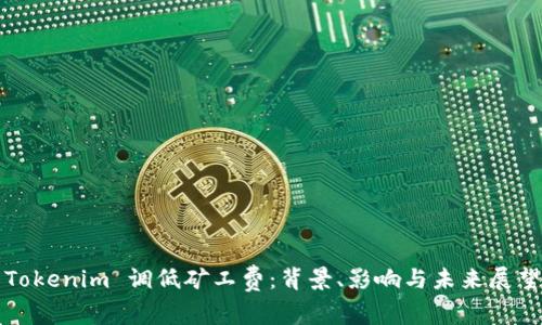 Tokenim 调低矿工费：背景、影响与未来展望