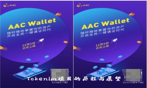 Tokenim项目的历程与展望
