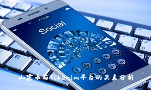 山寨币与Tokenim平台的关系分析