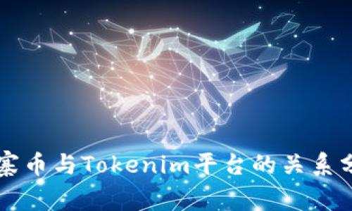 山寨币与Tokenim平台的关系分析