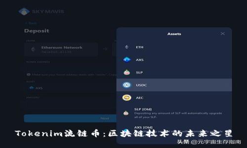 Tokenim流链币：区块链技术的未来之星