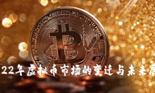 2022年虚拟币市场的变迁与未来展望