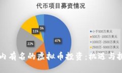 国内有名的虚拟币投资：机遇与挑战