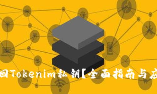 如何找回Tokenim私钥？全面指南与应对策略