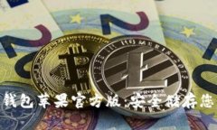 Tokenim冷钱包苹果官方版：安全储存您的数字资产