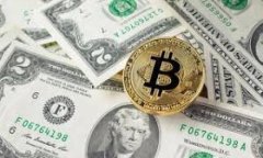 如何在Tokenim平台上添加狗狗币：常见问题与解决