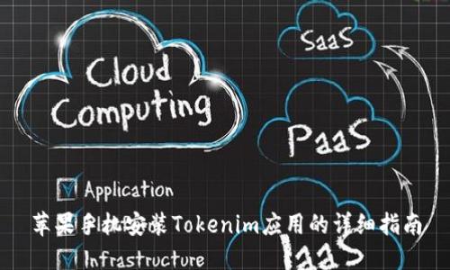 苹果手机安装Tokenim应用的详细指南