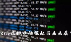  xnb虚拟币的崛起与未来展望