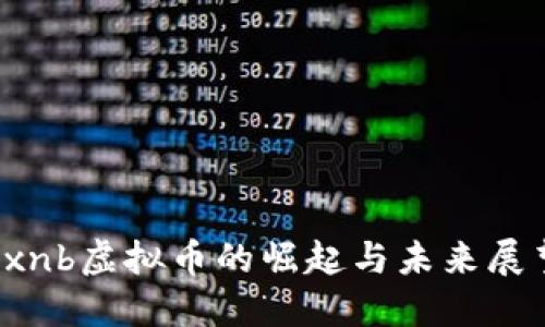  xnb虚拟币的崛起与未来展望