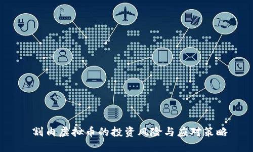  割肉虚拟币的投资风险与应对策略