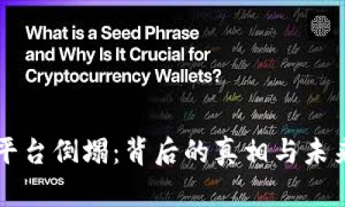 虚拟币平台倒塌：背后的真相与未来的启示