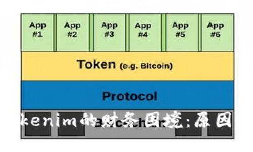 探讨Tokenim的财务困境：原因与影响