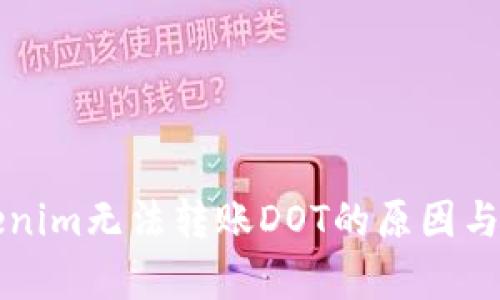 解析Tokenim无法转账DOT的原因与解决方案