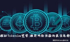 探秘Tokenim宽带：提升网络体验的最佳选择