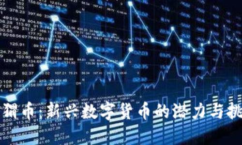 刺猬币：新兴数字货币的潜力与挑战